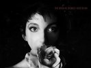 KATE BUSH**SENSUAL WORLD (180 GRAM/GATEFOLD)**VINYL