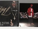 RARE Big L The Big Picture -  2x Vinyl LP 2000  Rawkus Records