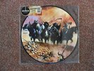 SAXON - DOGS OF WAR      PICTURE LTD OF 500