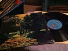 Ray Olan Y Su Sason Alegre Record Lp. Nice
