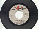 45 - Red Bird - The Shangri-las Leader Of The Pack / What Is Love PROMO