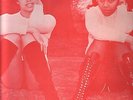 HOT NUMBERS VOL ONE V/A LP/SKINHEAD REGGAE/PAMA PMP2006..RARE.....LISTEN