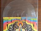 Flaming Lips Good Vibrations lathe cut vinyl Austin Psych Fest Beach Boys rare