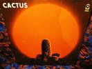 SHRINK 1970 Orig CACTUS   1st LP Hard BOOGIE BLUES JAMS   VANILLA FUDGE McCARTY