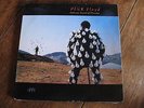 PINK FLOYD   Delicate sound of thunder