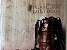 PEARL JAM LOST DOGS  3LP EPIC