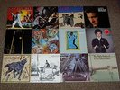 Steely Dan, Kid Creole, Los Lobos, Willy DeVille, Chris Isaak, Little Feat LP´s