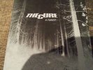 The Cure A Forest 7