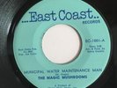 The Magic Mushrooms 45 East Coast Lbl. RARE PSYCH