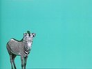Hum - You'd Prefer An Astronaut GREEN vinyl Limited /500 OOP and sold out