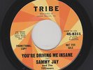 Sammy Jay - You're Driving Me Insane / Never Let Me Go (Soul, 45)