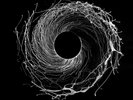 DAWN OF MIDI - DYSNOMIA  VINYL LP + DOWNLOAD NEW