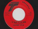 Josephine Taylor - I've Made Up My Mind / Is It Worth A Chance (Soul, 45)