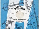 Northern Soul 45 LOU JOHNSON “Wouldn’t That B Something” BIG TOP ’62 demo HEAR