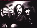 BABOON SHOW - Damnation  LP + mp3