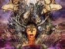Fortress [12 inch Analog] Protest the Hero LP Record