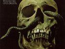 MESSAGE - From Books And Dreams - LP 1973 (yellow vinyl )Bacillus