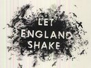 Let England Shake - P.J. Harvey (2011, Vinyl NEW)