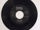 RARE DOO WOP 45  LEWIS LYMON & THE TEENCHORDS  TOO YOUNG /YOUR LAST CHANCE  END