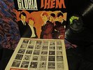 ORIG 1965  THEM   VAN MORRISON GLORIA Garage Fuzz Punk Howling Snarl MYSTIC EYES