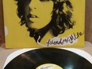 Adam Green Friends Of Mine Vinyl LP RARE OOP MOLDY PEACHES INDIE