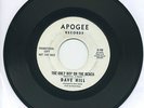 DAVE HILL   The Only Boy On The Beach/New Orleans   rockabilly promo (NM) APOGEE