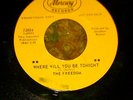 GARAGE/PSYCH 45 THE FREEDOM 