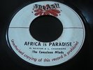 Conscious Minds - Africa Is Paradise - Splash 45 Reggae Roots Listen