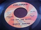 LISTEN MARVIN JENKINS  