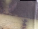 Sun Kil Moon Third And Seneca Rare GOLD Vinyl 10