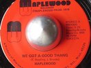 DETROIT SWEET SOUL RARITY MAPLEWOOD We got a good thang MAPLEWOOD LISTEN