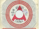 DR WEST'S MEDICINE SHOW & JUNK BAND   You Can Fly   psych promo (NM)   GO GO $