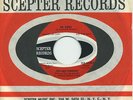 THE NEW YORKERS   Mr. Kirby/Seeds Of Spring   fuzz/psych promo   SCEPTER 12199 $