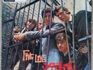 YARDBIRDS FIVE LIVE YARDBIRDS VINYL LP 1st mono press XAX 2725-1N GD COND