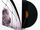 Pearl Jam - Vs. 180grm music on vinyl reissue