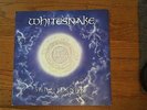 Whitesnake Still Of The Night 12