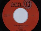 Funk 45 MICKEY & SOUL GENERATION How Good Is Good MR. G VG++ HEAR