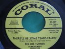 VG+ Rare R&B Soul 45 : Big Joe Turner   Shake, Rattle and Roll   Coral 62429