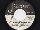 '61 Rocker/Rockaballad HAYDEN THOMPSON Watcha Gonna Do/Summer's Over M- HEAR