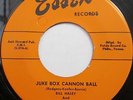 RaRe BILL HALEY & THE COMETS Sundown Boogie bw/ Juke Box Cannon Ball 45 on ESSEX