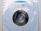 Bonnie Prince Billy On Raglan Road 7