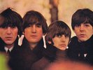 The Beatles – Beatles For Sale – 1st Press – 4N/4N – PMC 1240 – LP Record