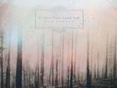 If These Trees Could Talk Red Forest  1st press ultra clear w blood red swirl