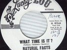 NATURAL FACTS What Time Is It b/w Girl GARAGE Popcorn NORTHERN SOUL 45 e326 HEAR