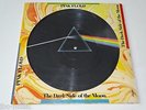 PINK FLOYD PICTURE DISC LP DARK SIDE OF THE MOON PROG ROCK |81