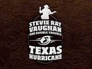 Stevie Ray Vaughan - Texas Hurricane - Vinyl Audiophile Blues Records