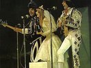 Os Mutantes:  
