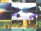 Bonobo - One Off's Remixes & B Sides [Vinyl New]