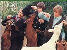 THE BEACH BOYS: PET SOUNDS ORIGINAL MONO BLACK LABEL PRESSING VG+