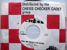 HOWLIN WOLF Tell Me What I've Done b/w Ooh Baby WHITE LABEL PROMO blues 45 w235
